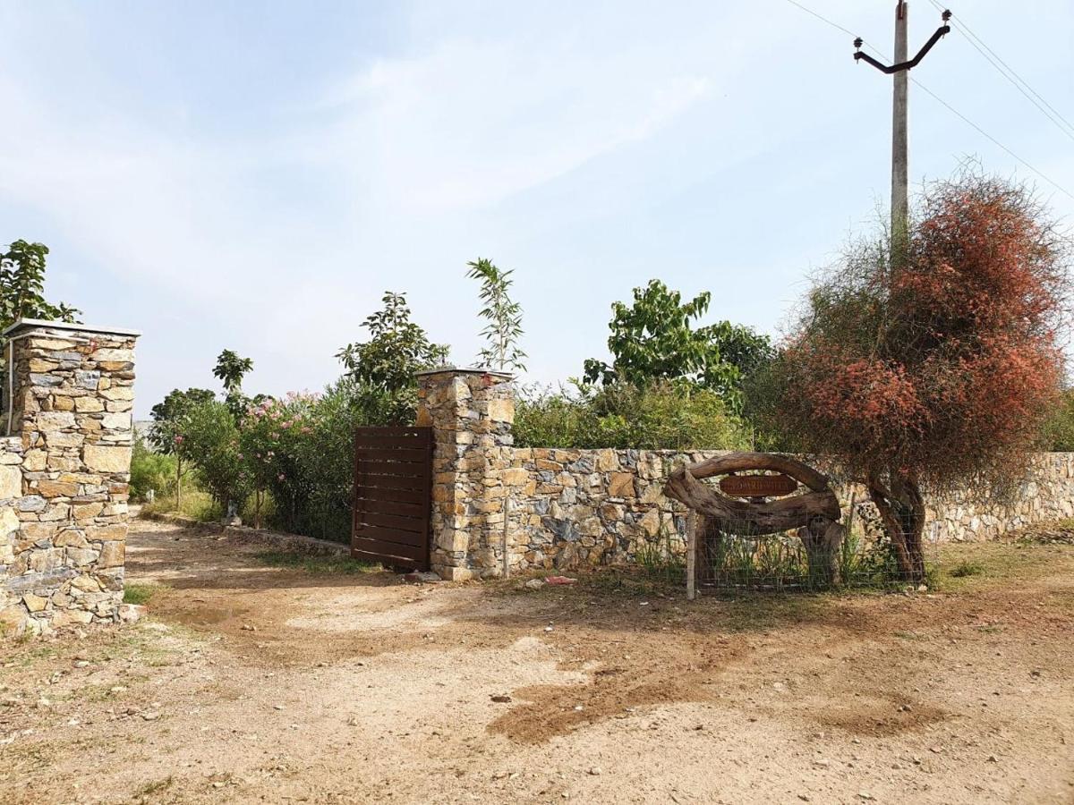 Bijapur Lodge Jawai Екстер'єр фото