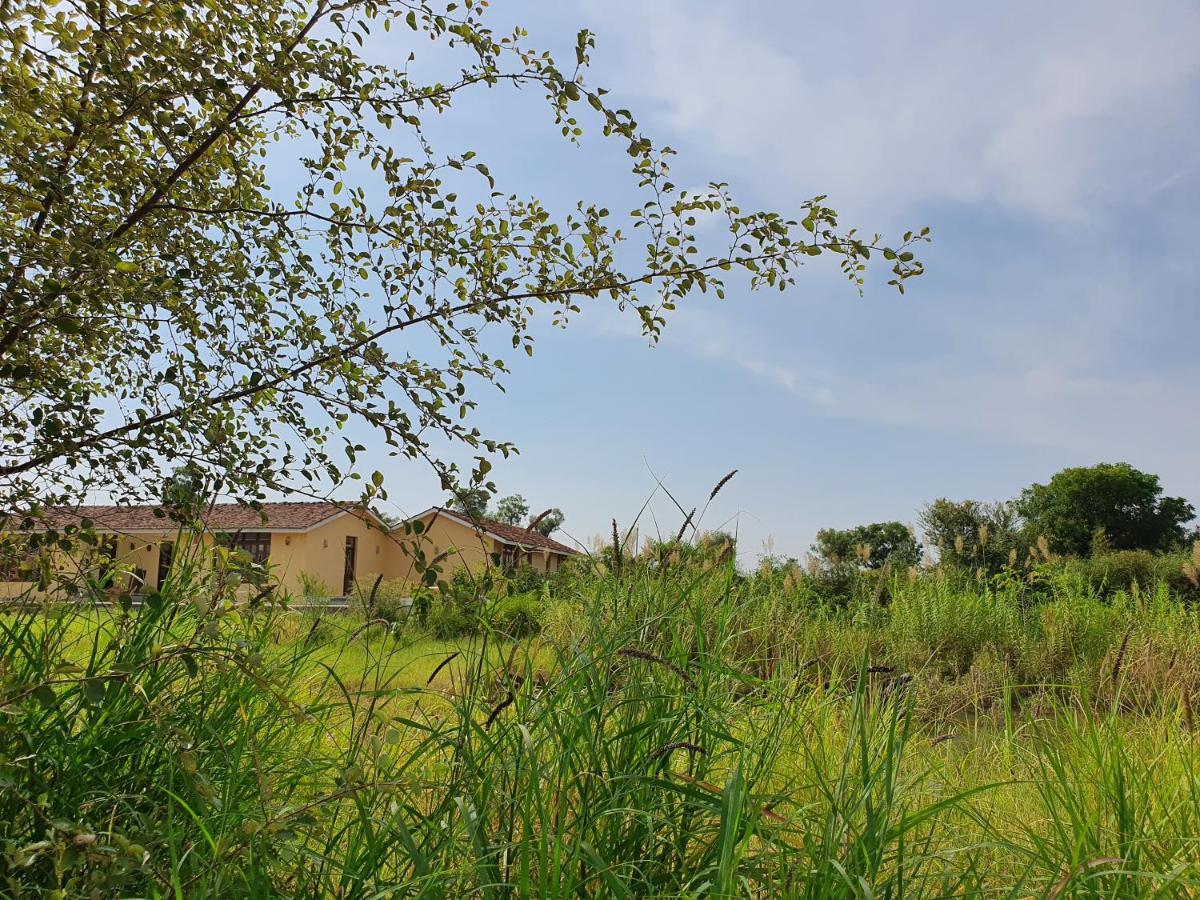 Bijapur Lodge Jawai Екстер'єр фото